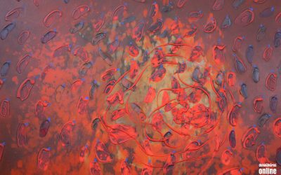 Gondolatébresztő tárlattal készültek