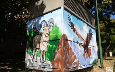 Hegyi kecske a sas és mormota mellett – már teljes díszben pompázik a trafóház