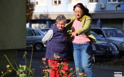 Itt az újabb példa a gondos kertszépítésre