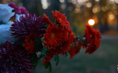 Csöndes és nyugalmas, meghitt gyásznapok