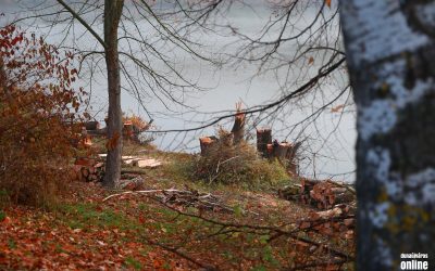 Fontos munkák zajlanak a Szalki-szigeten