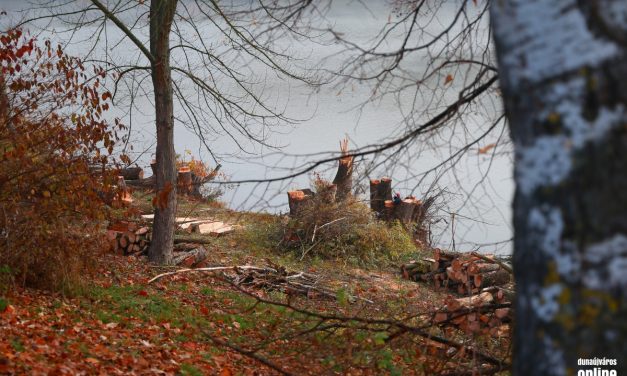 Fontos munkák zajlanak a Szalki-szigeten