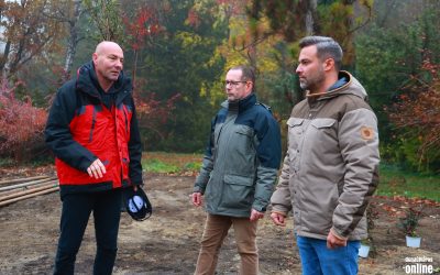 Arborétumi munkák a zöldellő élővilágért