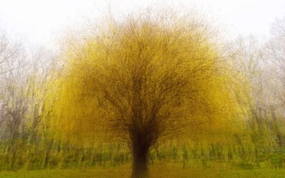 Az őszi ciklusban is szép fotók készültek