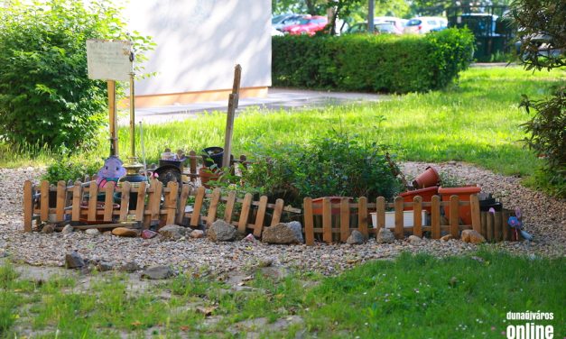 Közös nevezőre jutottak, fát és virágot ültetnek